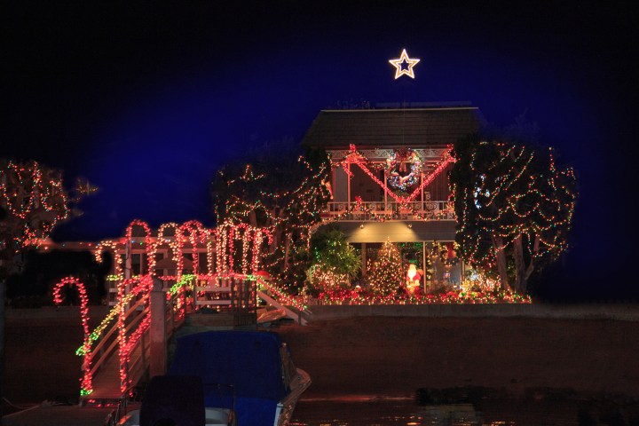 a christmas tree lit up at night