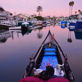purple tinted sunset in the harbor